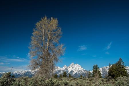 ÎÑÂå¹ÁÒɰ¸£ºÉêÔ©3ÄêÖÕµÃÎÞ×ïÅоö ÕæÐ×ÈÔÊÇÃÕ