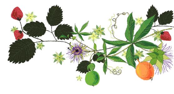 ´ºÔË£ü12306ÊÛÆ±ÌáǰÁË 60ËêÒÔÉÏÂÿÍÓÅÏÈÅÅÏÂÆÌ