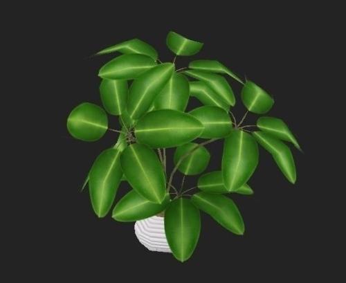 ÄãÔÚ±±¾©½¡¿µ±¦µÄÕÕÆ¬Óжà³ó?Ò»²»Ð¡ÐÄ