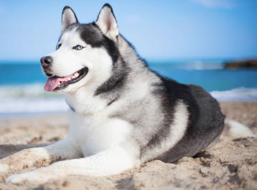 2025¹«ÓÃÊÂÒµ¸Ä¸ïÓëÕþ¸®¼à¹ÜÂÛ̳ÔÚ¾©¾Ù°ì